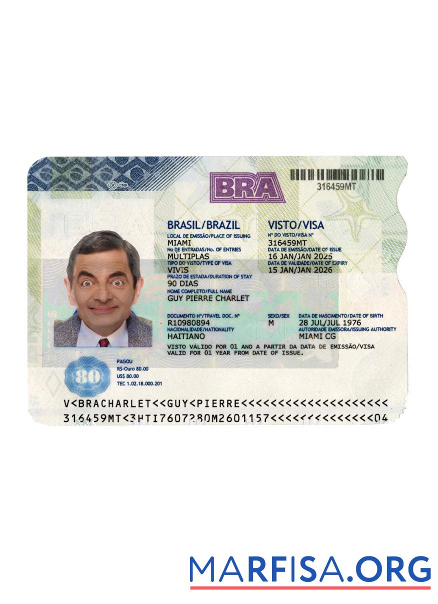 Blank Brazil travel visa 2025 present example